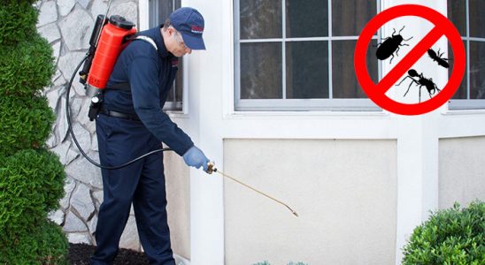 Çiğli Fare İlaçlama böcek ilaçlama ve haşere kontrolü — ilaclama-tr.com